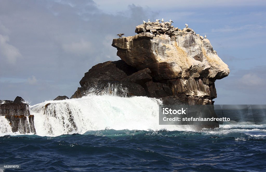 Waves Crashing on Lava Rocks Galapagos Island Bathroom Stock Photo