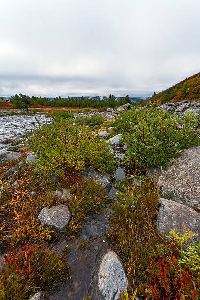istock Mountain river, stones, fog, morning. 452511399