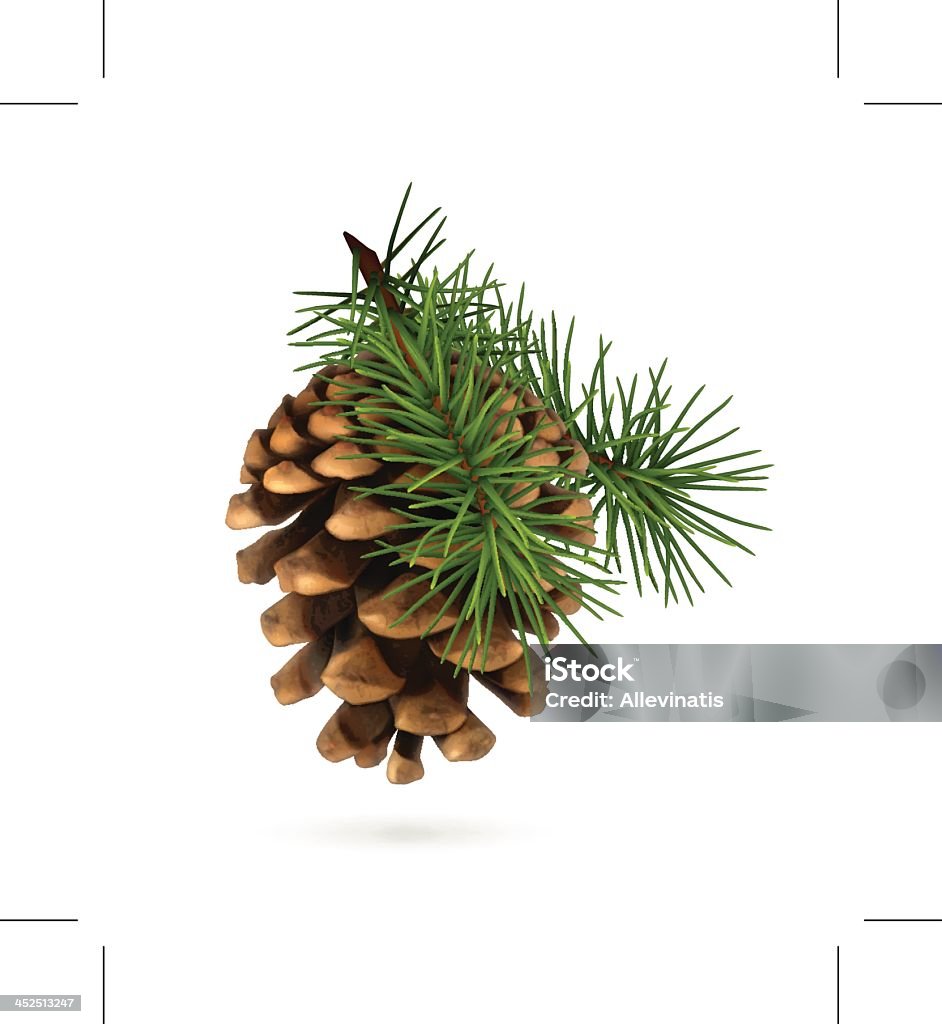 An isolated pine cone with branch Pine cone with branch. Eps10 vector illustration contains transparency and blending effects. Pine Cone stock vector