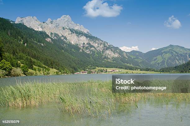 Lake Haldensee Z Góry - zdjęcia stockowe i więcej obrazów Allgäu - Allgäu, Alpy, Austria