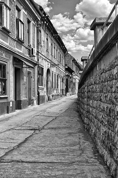 istock Street in Novi Sad 452515967