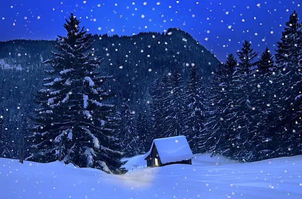 Photo of Winter Christmas