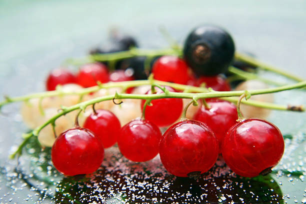 currants - currant gooseberry red currant red стоковые фото и изображения