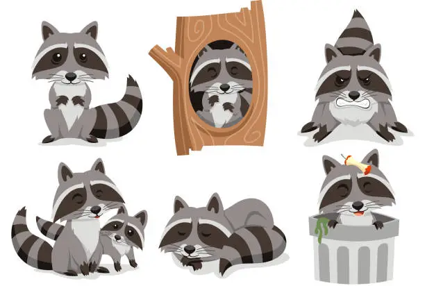 Vector illustration of Raccoon Raccoons Set