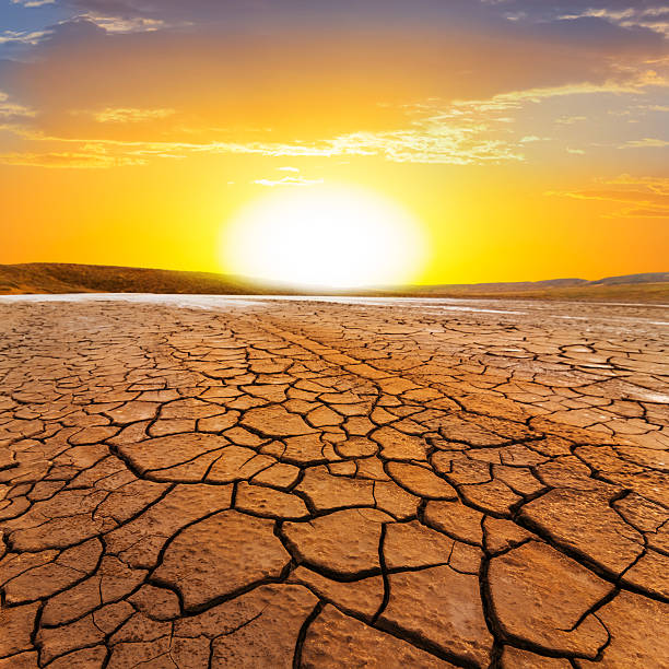 istock sunset ower a dry land 452538035