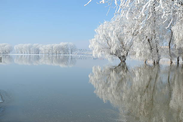 istock winter landscape with beautiful reflections 452542905