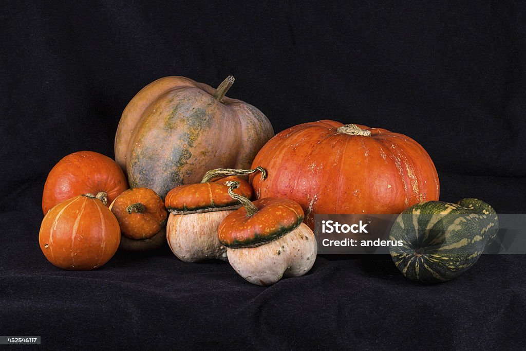 pumpkins001 Still, orange pumpkins. Agriculture Stock Photo