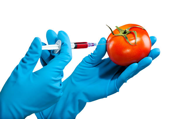 modificação genética - injecting healthy eating laboratory dna imagens e fotografias de stock