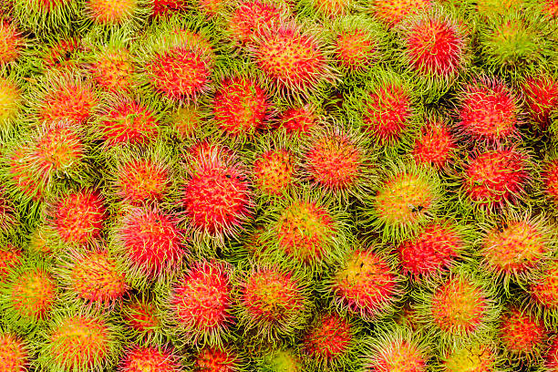 istock Fresh organic rambutan on local market. 452554089