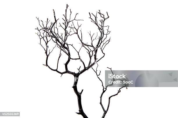 Black Tree 3 Stock Photo - Download Image Now - Backgrounds, Black Color, Branch - Plant Part