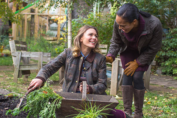 istock encouragement to gardening 452555737