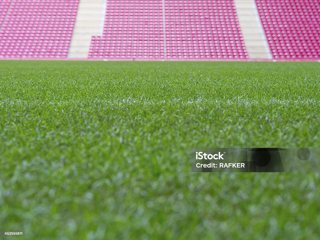 Fußball und Gras-Footballstadion - Lizenzfrei Außenaufnahme von Gebäuden Stock-Foto