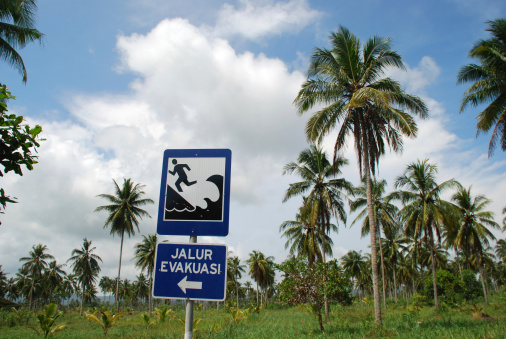 An Indonesian traffic sign indicating the tsunami evacuation route in front of coconut palm trees.