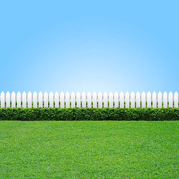 istock White fence and green grass 452560309