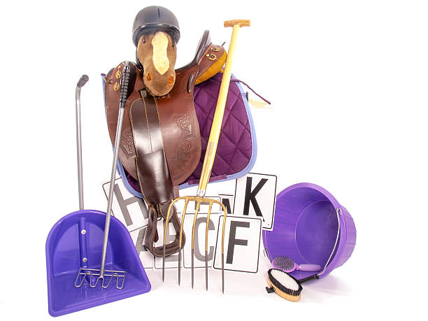istock cleaning horse equipment 452565483