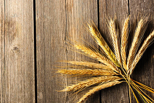 istock Rye spikelets on wooden background 452567527