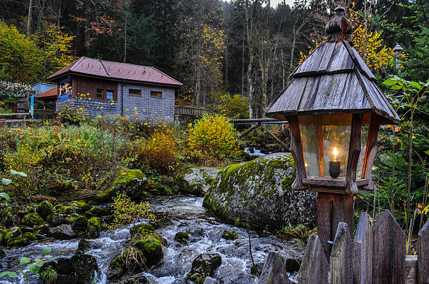 입구 블랙 임산 - black forest waterfall triberg landscape 뉴스 사진 이미지