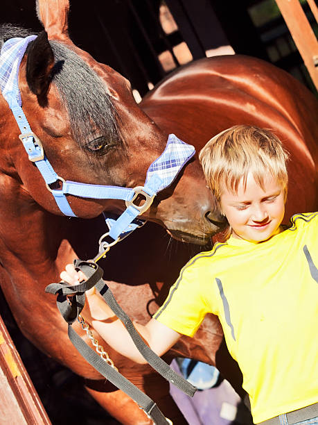 istock little boy with horse in stable 452569205