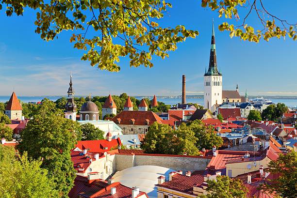 istock Tallinn Estonia Skyline 452569369