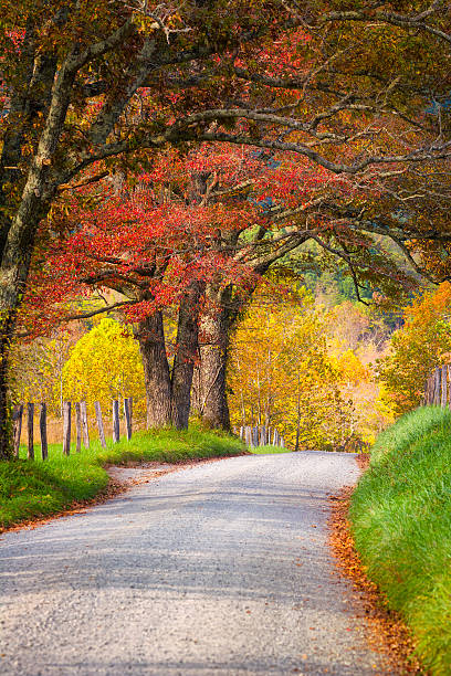 tardo autunno pomeriggio nel smokies - cades foto e immagini stock