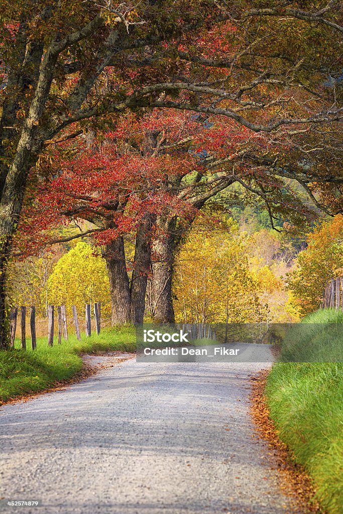 Late Autumn Afternoon in the Smokies Fall foliage on display on Sparks Road in Cade's Cove, Great Smoky Mountains National Park, TN Autumn Stock Photo