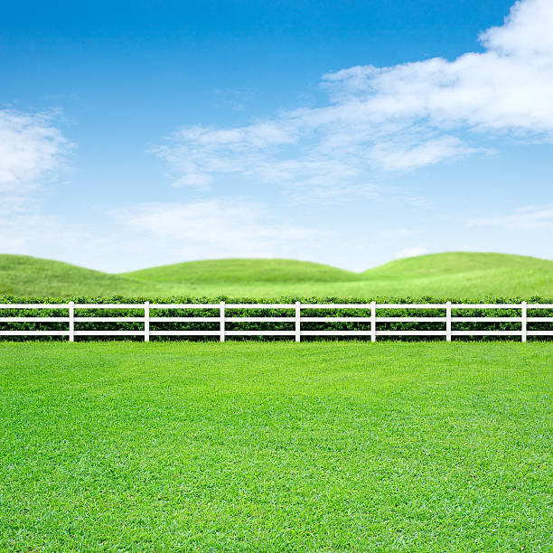 Long white fence and green grass on blue sky