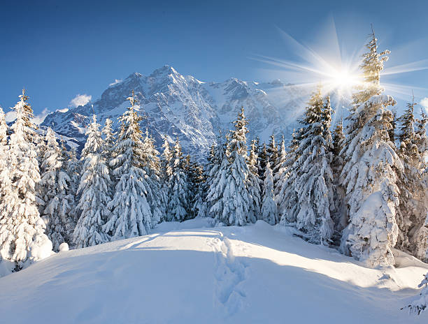 istock Beautiful winter landscape in the huge mountains 452577093