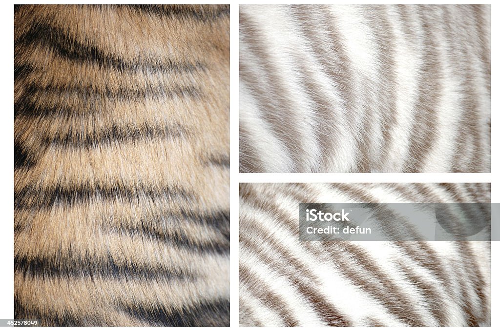 tiger fur pattern tiger fur pattern set Abstract Stock Photo