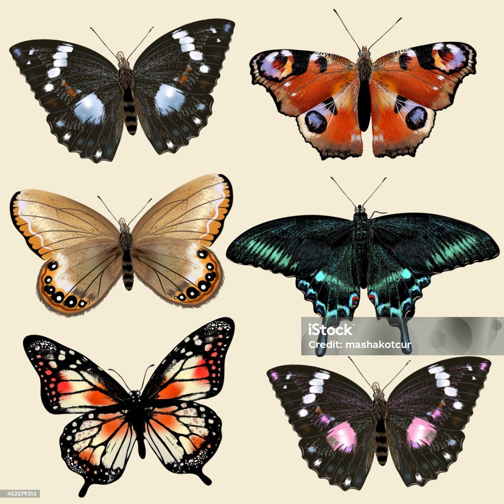 세트마다 벡터 색상화 현실적인 나비 설계 - 로열티 프리 6 벡터 아트