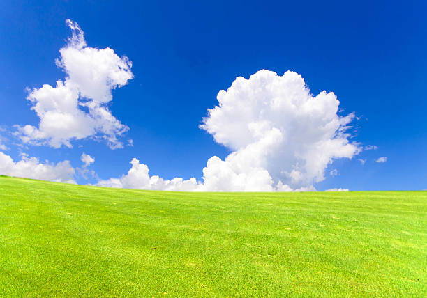 istock Landscape of green field with blue sky 452580479