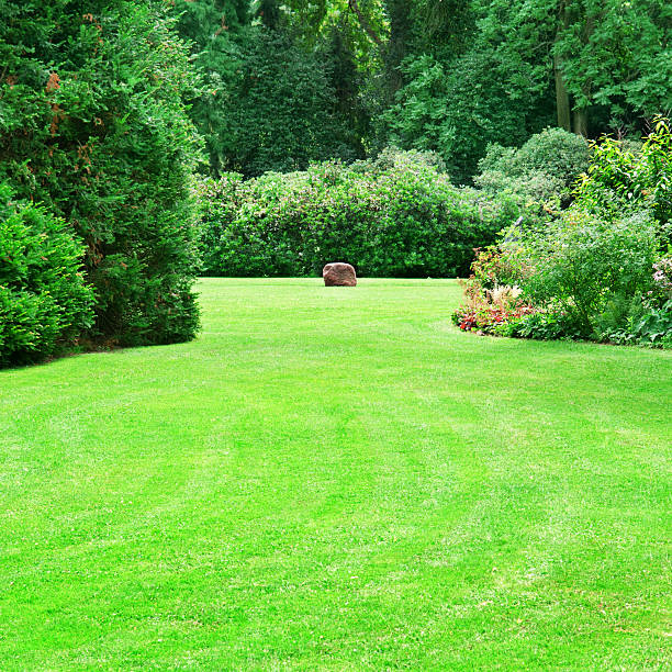 istock beautiful summer garden 452585551