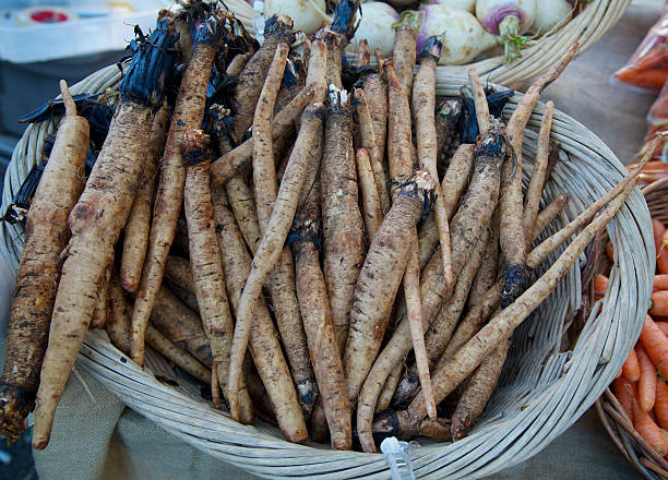 Burdock root or GoBo at the farmer's market stock photo