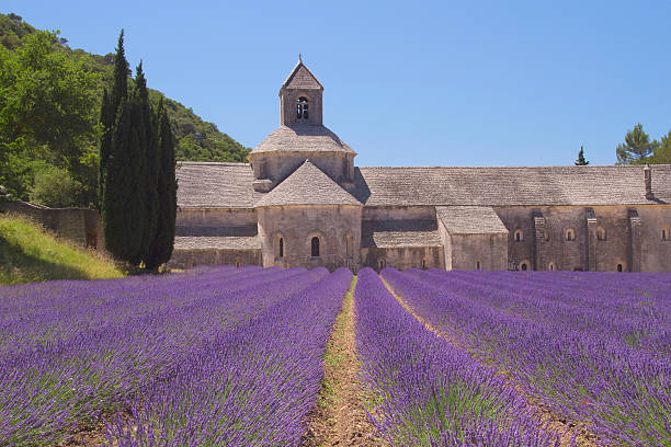 senanque abbey (provence, francia) - senanque fotografías e imágenes de stock