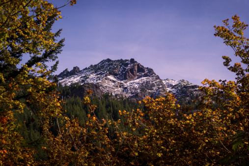 Dusted with snow, a mountain peak against blue framed by autumn leaves in Washington State.