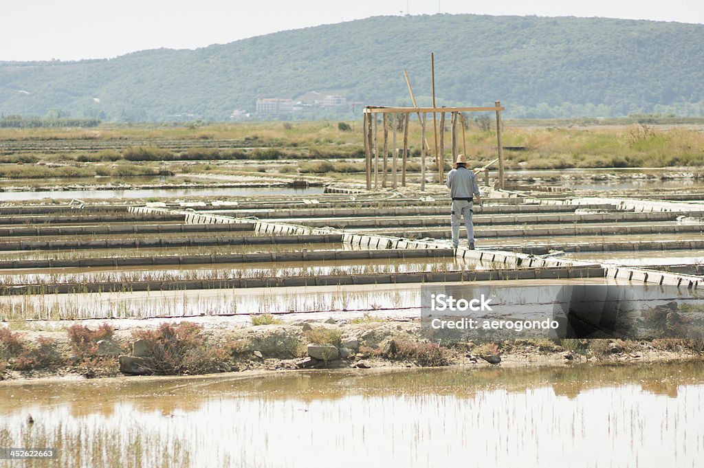 salt production Adult Stock Photo