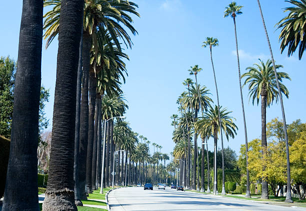 istock Beverly Hills street 452623479