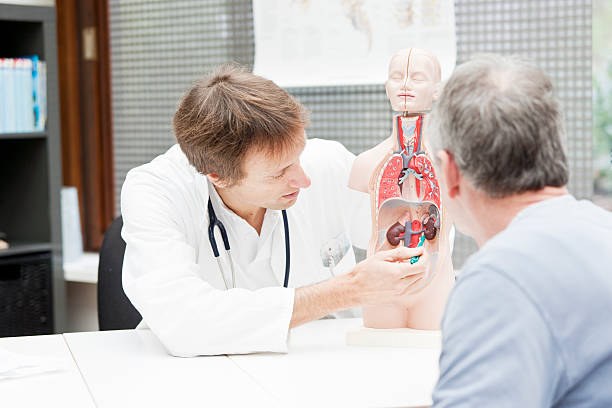 Doctor explaining urological problems A medicine,explaining urological problems to a patient.  urinary system stock pictures, royalty-free photos & images