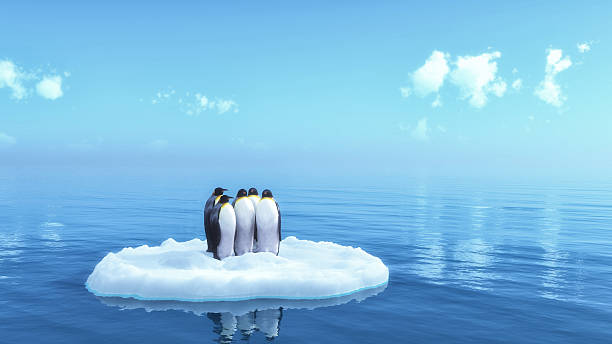 penguins penguins floating on ice south pole stock pictures, royalty-free photos & images