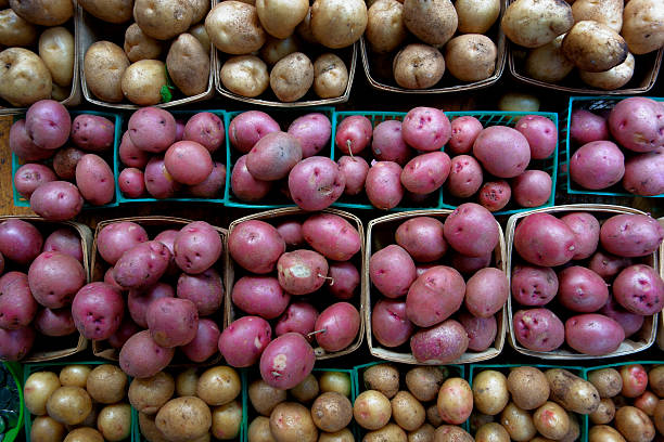 batatas no mercado de produtores - red potato raw potato market red - fotografias e filmes do acervo