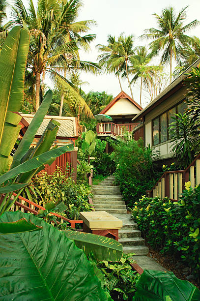 istock Garden path to your bungalow 452629497