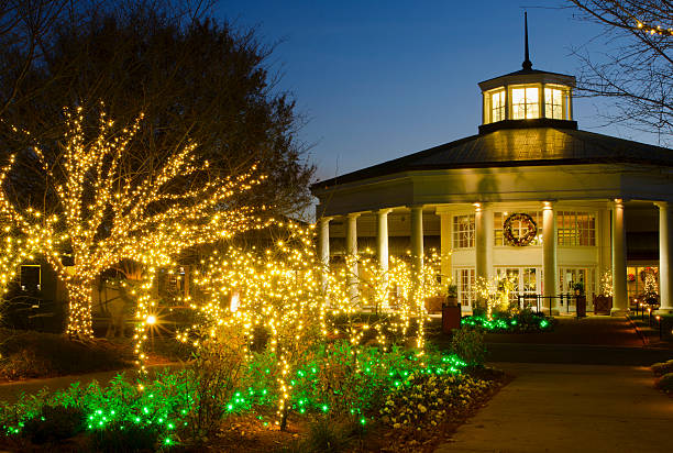 istock A tree decorated with lights for the holiday season 452631951