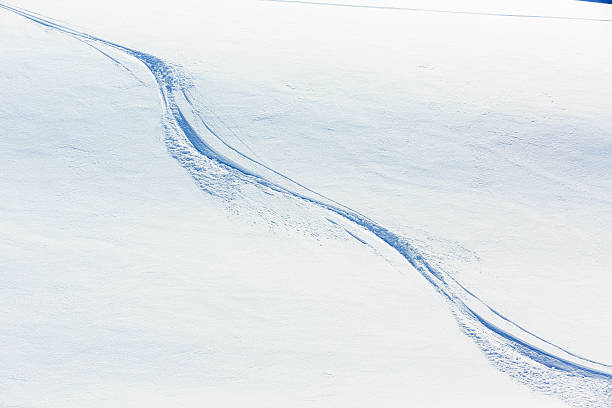 istock Skiing, freeride tracks on powder snow 452635045
