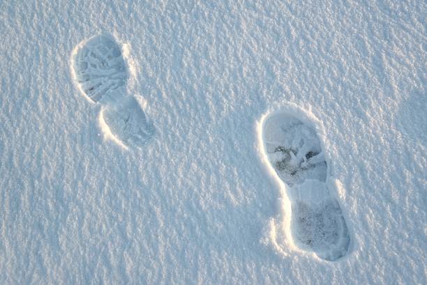 istock Footprint in the snow 452635139