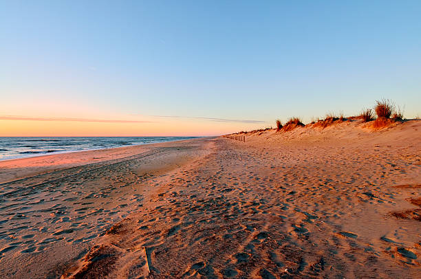 istock Asseteague Island Seaside Dunes 452635493