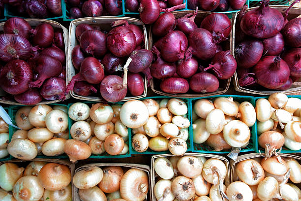 A close-up view of a wicker basket filled with fresh red onions. The vibrant color and natural texture highlight the simplicity and richness of freshly harvested vegetables.