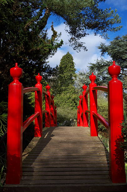 Bridge, Japanese Garden, Kildare, Ireland, County Kildare, Garden, Spring