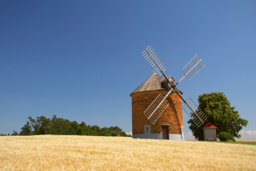 Brick windmill in a field of corn. Blue sky in the background. 