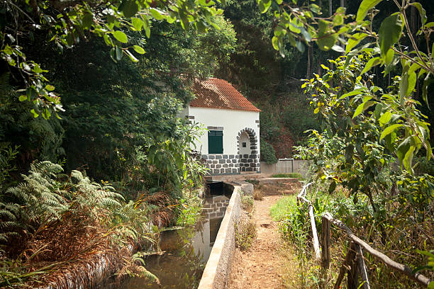 мадейра, levada trail с воды работы - wanderurlaub стоковые фото и изображения