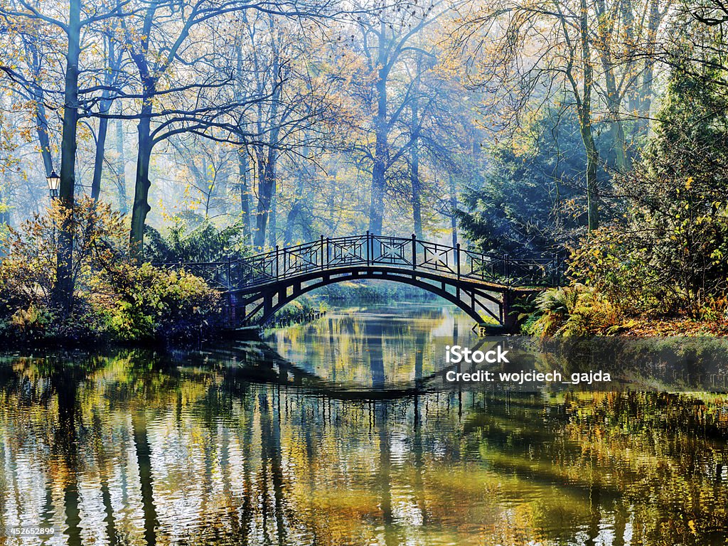Old bridge in autumn misty park Autumn - Old bridge in misty park Autumn Stock Photo