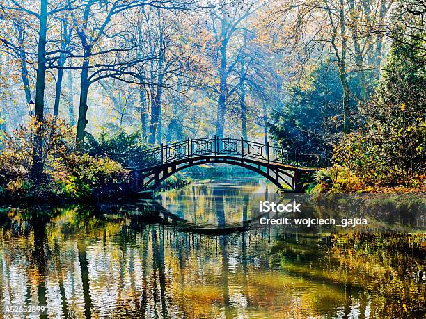 Old Bridge In Autumn Misty Park Stock Photo - Download Image Now - Autumn, Backgrounds, Branch - Plant Part